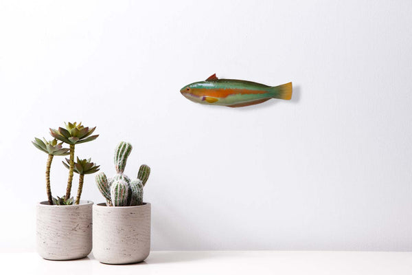 Handmade ceramic fish, big mediterranean rainbow wrasse 