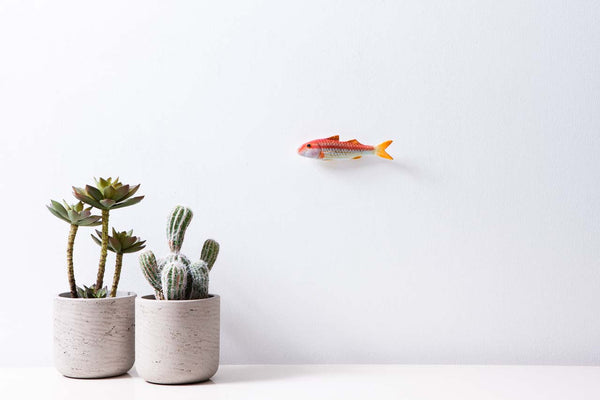 Striped red mullet fish wall decor