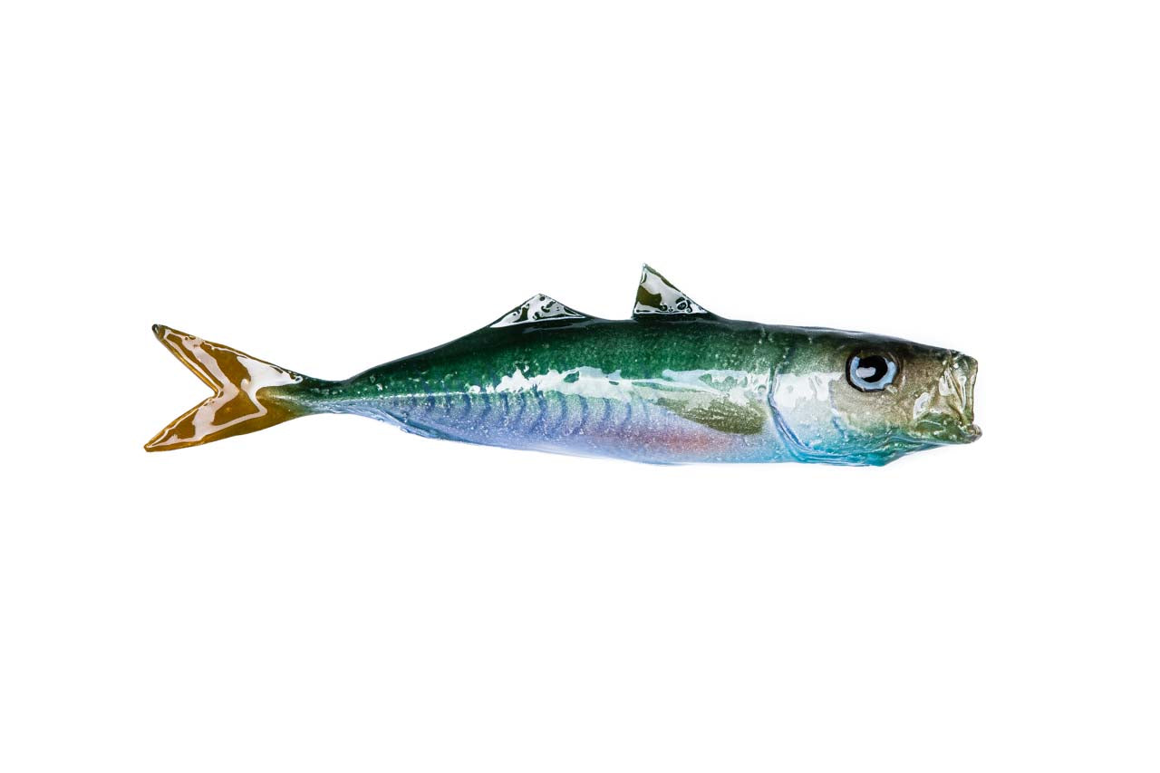 atlantic horse mackerel, ceramic fish