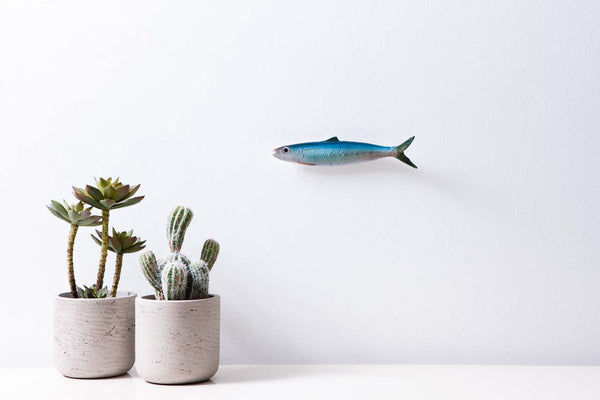 Round sardinella fish wall interior decoration