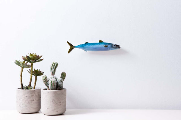 Atlantic mackerel, ceramic fish wall