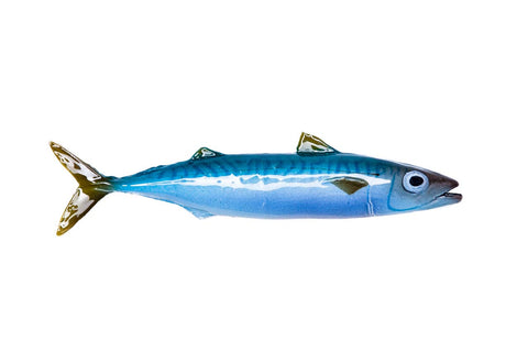 Atlantic mackerel, ceramic fish