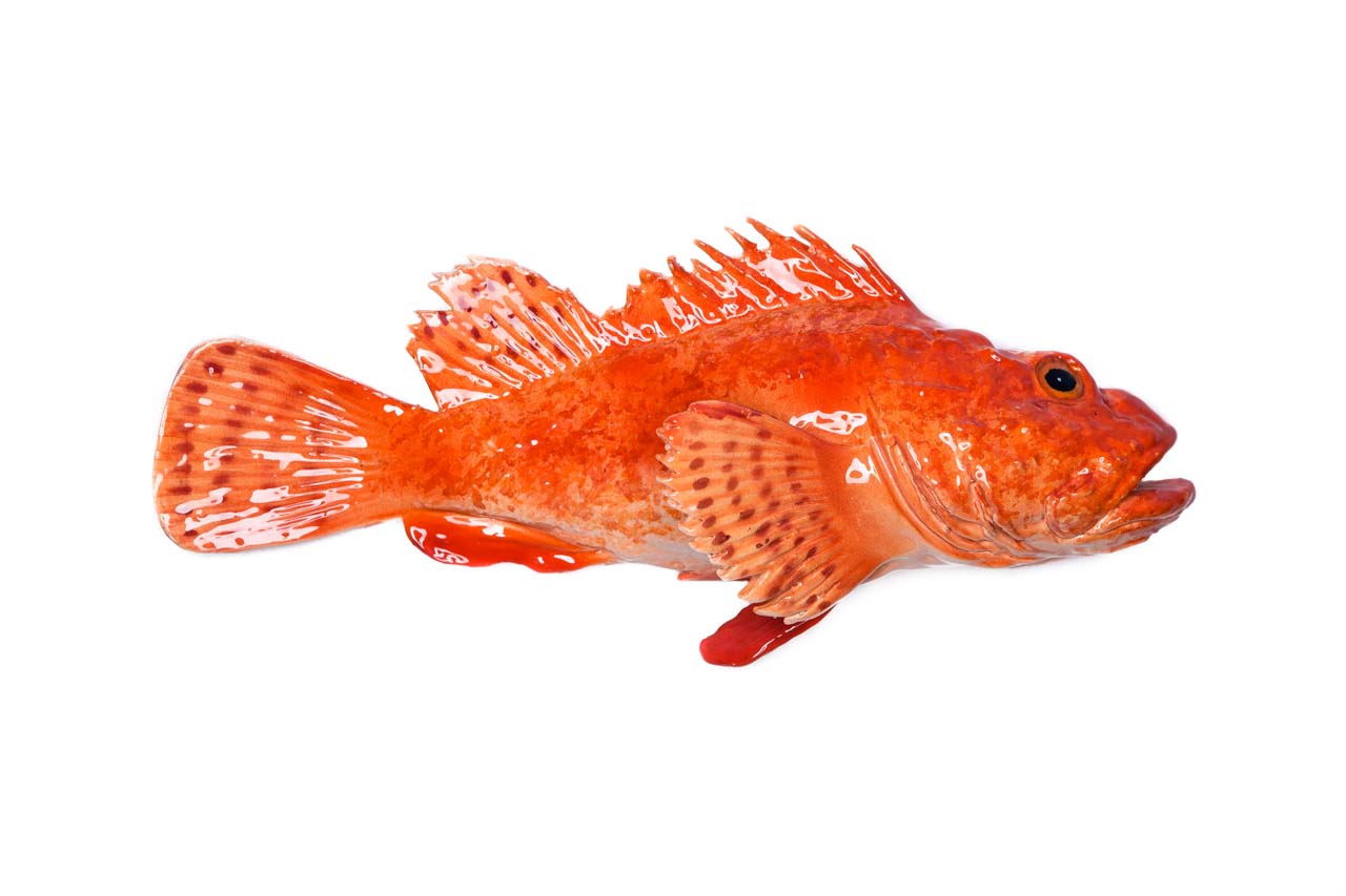 Red scorpionfish ceramic fish