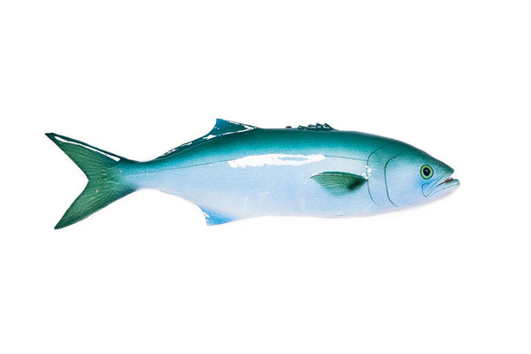Bluefish ceramic fish