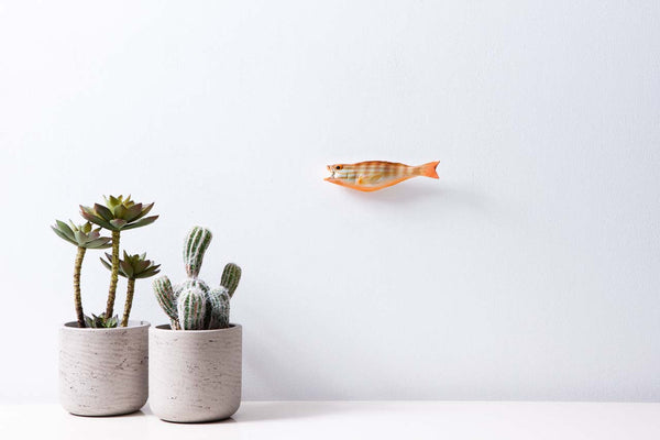 Comber fish, ceramic wall hanging