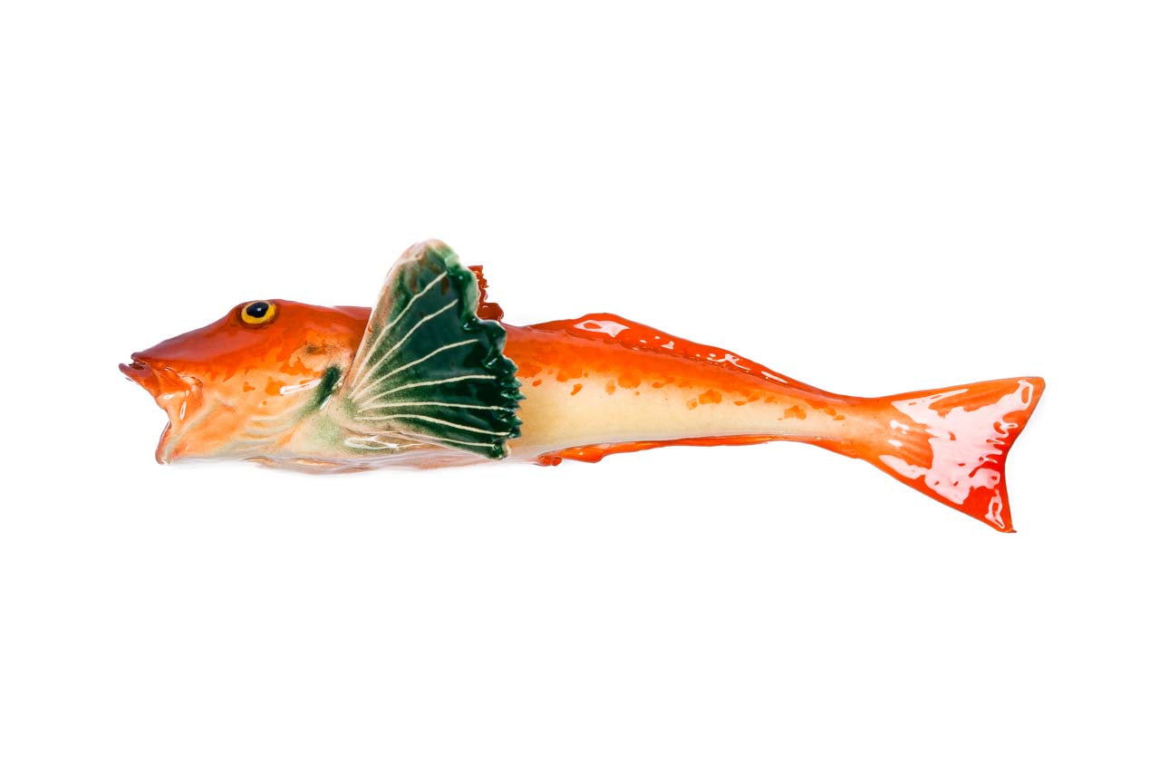 Searobin or tub gurnard ceramic fish