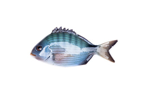 Sargo or White seabream ceramic fish