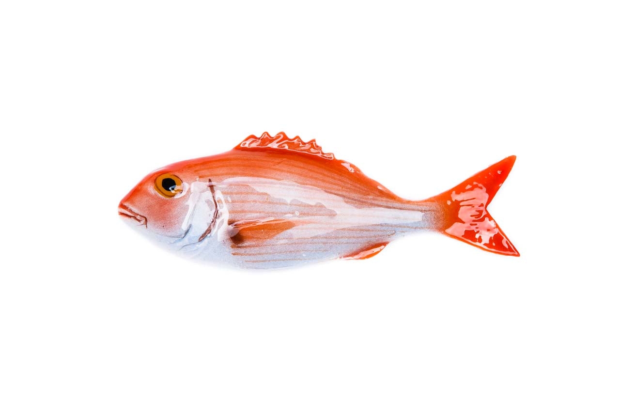 Common pandora ceramic fish